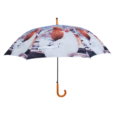 Paraguas Animales de Granja Color